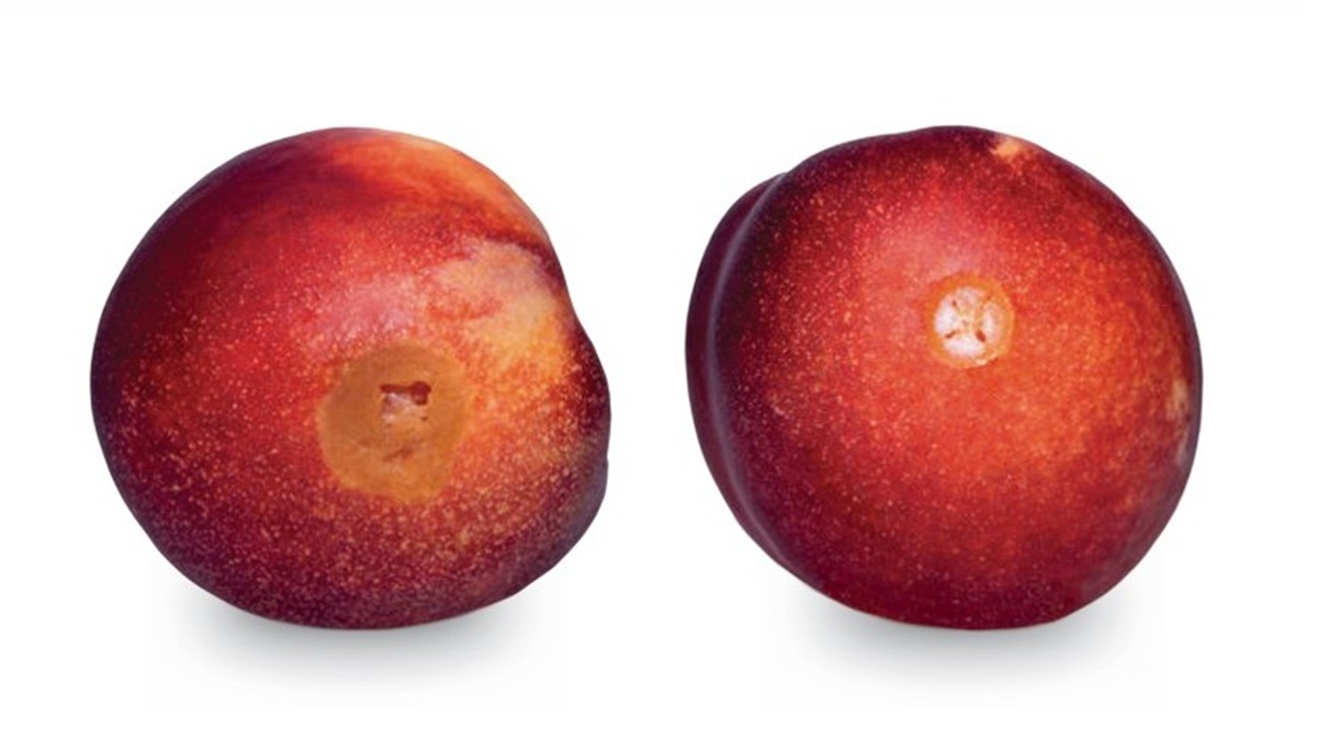 Captura de pantalla 2026-04-15 150048.jpg